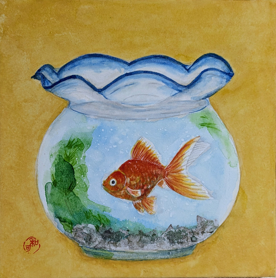 『涼』K和可 SSM