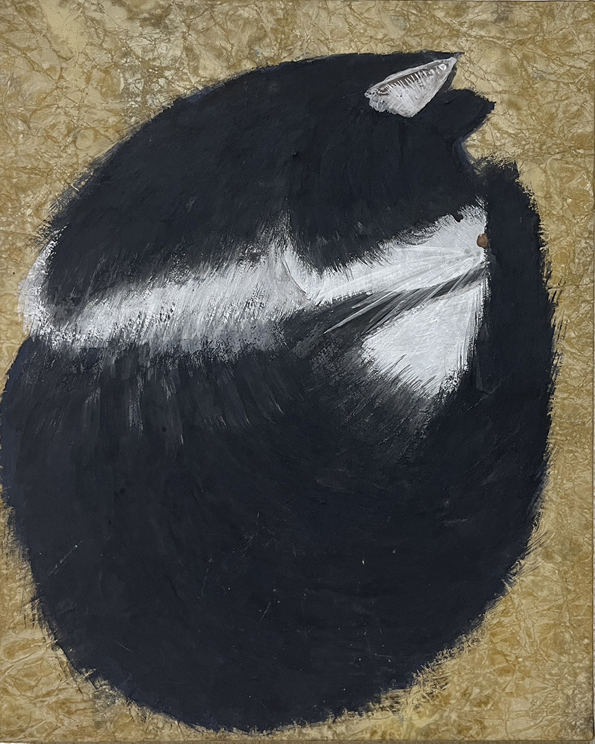 『アンモニャイト』前田彩光 F3